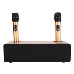 Bluetooth Home Audio Set langattomalla mikrofonilla matkapuhelimen karaokea varten (110-240V) Iso-Britannian pistoke hinta ja tiedot | Kannettavien tietokoneiden lisätarvikkeet | hobbyhall.fi