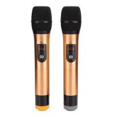 Bluetooth Home Audio Set langattomalla mikrofonilla matkapuhelimen karaokea varten (110-240V) Iso-Britannian pistoke hinta ja tiedot | Kannettavien tietokoneiden lisätarvikkeet | hobbyhall.fi