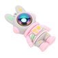 Sarjakuva USB-muistitikku Bunny USB2.0 -liitäntä Plug and Play High Speed Memory Thumb Stick kannettavalle pöytätietokoneelle Car Type 1 128GB hinta ja tiedot | Muistitikut | hobbyhall.fi