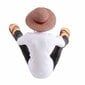 Animehahmot Istuva Luffy Figurine Nukke Lelu Koristeet Luffy PVC Toimintafiguuri Malli Auton Makuuhuoneen Vuoteen viereen hinta ja tiedot | Koristeet ja tarrat | hobbyhall.fi