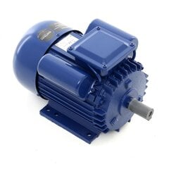 Sähkömoottori 3 kW, 230V, 2810rpm hinta ja tiedot | Aggregaatit | hobbyhall.fi