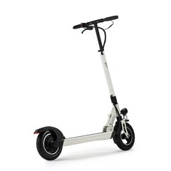 Sähköpotkulauta GPad Joyride Eco 11Ah, valkoinen hinta ja tiedot | Sähköpotkulaudat | hobbyhall.fi