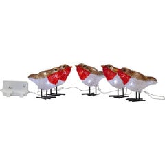 Decor Crystalo Bird 5kpl. BO 40LED 130cm 10x7cm hinta ja tiedot | Joulukoristeet | hobbyhall.fi