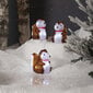 Sisustus Crystalo Squirrel 3 gab. BO 30LED 120cm 15x11cm hinta ja tiedot | Joulukoristeet | hobbyhall.fi