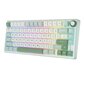 ROYAL KLUDGE R75 Sky Cyan, Chartreuse Switch, US hinta ja tiedot | Näppäimistöt | hobbyhall.fi