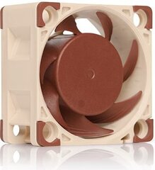 Noctua NF-A4x20 PWM hinta ja tiedot | Tietokoneen tuulettimet | hobbyhall.fi