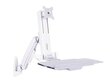 Workstation Arm Single, 7350073734351 hinta ja tiedot | Näyttötelineet | hobbyhall.fi