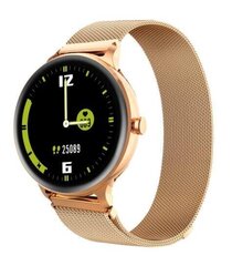 SMARTWATCH X2/GOLD BLACKVIEW hinta ja tiedot | Älykellot | hobbyhall.fi