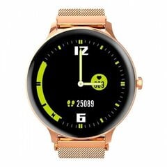 SMARTWATCH X2/GOLD BLACKVIEW hinta ja tiedot | Älykellot | hobbyhall.fi