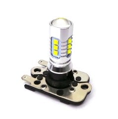 PH16WY LED-lamppu 12V CANBUS korkea intensiteetti 1400lm, 1 kpl. hinta ja tiedot | Polttimot | hobbyhall.fi