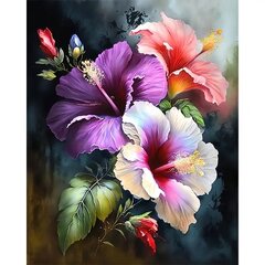 Maalaus numeroiden mukaan, Morning Glory, 50,04 x 39,88 cm hinta ja tiedot | Maalaa numeroiden mukaan | hobbyhall.fi