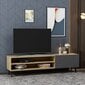 TV-taso Blake - Oak, Anthracite hinta ja tiedot | TV-tasot | hobbyhall.fi