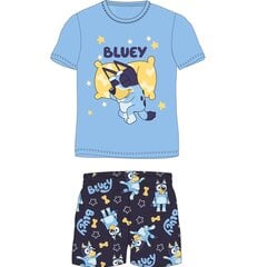 Pyjama lapsille Bluey hinta ja tiedot | Poikien kylpytakit ja pyjamat | hobbyhall.fi