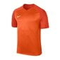 Urheilupaita Nike Dry Trophy III M 881483-815, 57862 hinta ja tiedot | Miesten urheiluvaatteet | hobbyhall.fi