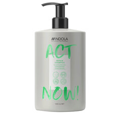 indola act now repair shampoo vaurioituneille hiuksille, 1000 ml, 1000 ml, 1000 ml hinta ja tiedot | Indola Hajuvedet ja kosmetiikka | hobbyhall.fi