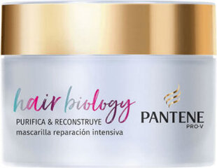 pantene pro-v cleanse & reconstruct intensive repair mask, 160ml hinta ja tiedot | Hiusnaamiot, öljyt ja seerumit | hobbyhall.fi