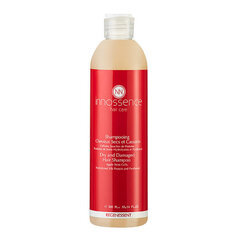 innossence regenessent shampoo kuiville ja hauraille hiuksille, 300 ml, 300 ml hinta ja tiedot | Shampoot | hobbyhall.fi