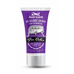 hairgum fix color purple, 30 ml hinta ja tiedot | Hiusvärit | hobbyhall.fi