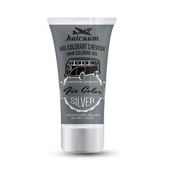 hairgum fix color silver, 30 ml hinta ja tiedot | Hiusvärit | hobbyhall.fi