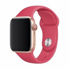 Vaihtohihna Apple Watch Devia : 44mm / 42mm Strap Deluxe Sport Red hinta ja tiedot | Älykellojen ja aktiivisuusrannekkeiden lisätarvikkeet | hobbyhall.fi