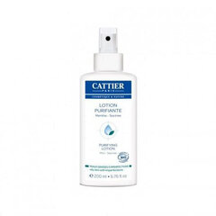 puhdistava kasvosuihke cattier purifying, 200 ml hinta ja tiedot | Kasvojen puhdistusaineet | hobbyhall.fi