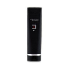 Salerm Cosmetics Homme hilseenshampoo, 250ml hinta ja tiedot | Shampoot | hobbyhall.fi