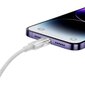 USB-C - Lightning kaapeli iPhone Explorer Series 20W 2m valkoinen hinta ja tiedot | Puhelinkaapelit | hobbyhall.fi