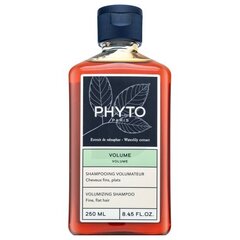 "phyto volume volume volumizing shampoo 250 ml hinta ja tiedot | Shampoot | hobbyhall.fi