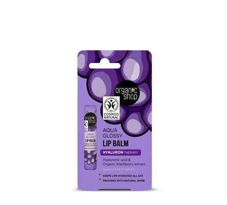 huulirasva hyaluronihappoa sisältävä huulirasva organic shop, 10 ml hinta ja tiedot | Huulipunat, huulikiillot ja huulirasvat | hobbyhall.fi