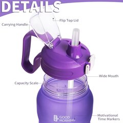 Justfwater Sports vesipullo pillillä, 2L, violetti hinta ja tiedot | Juomapullot | hobbyhall.fi