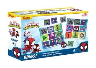 Bingo-peli Spideyn ja ystävien kanssa, värikäs hinta ja tiedot | Lautapelit ja älypelit | hobbyhall.fi