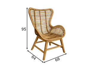 Nojatuoli Rattan hinta ja tiedot | Puutarhatuolit | hobbyhall.fi