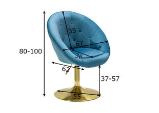 Tuoli, sininen/kultainen hinta ja tiedot | Ruokapöydän tuolit | hobbyhall.fi
