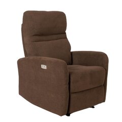 Sahara-recliner-nojatuoli, ruskea hinta ja tiedot | Nojatuolit | hobbyhall.fi