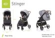 Rattaat 4Baby Stinger Air, harmaa hinta ja tiedot | Vaunut ja rattaat | hobbyhall.fi