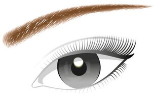 Kulmakarvakynä L'Oreal Paris Brow Artist Designer, 303 Deep Brown hinta ja tiedot | Kulmavärit ja kulmakynät | hobbyhall.fi