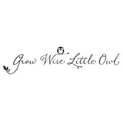 Grow Wise Little Owl Lainaus Art Decal irrotettava seinätarra lastenhuoneen lastenhuoneen sisustamiseen hinta ja tiedot | Lastenhuoneen valokuvatapetit | hobbyhall.fi