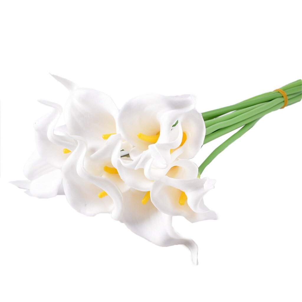 Mini keinotekoinen PU Calla Lily Real Touch Fake kukka valokuvaus tekokukka Kodinsisustus valkoinen hinta ja tiedot | Keinotekoiset kukat | hobbyhall.fi