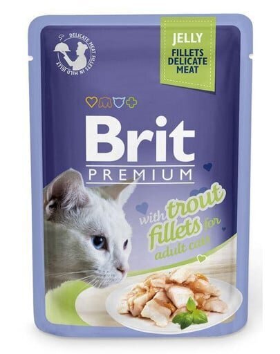 Brit Premium -kissafileet hyytelössä taimenen kanssa, 24x85 g hinta ja tiedot | Kissanruoka | hobbyhall.fi