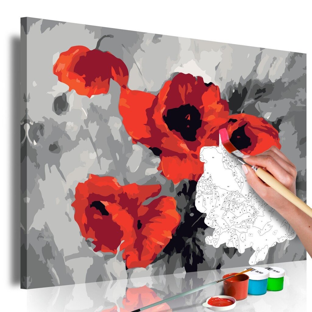 DIY kangas maalaus - Bouquet of Poppies hinta ja tiedot | Maalaa numeroiden mukaan | hobbyhall.fi
