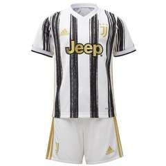 Adidas Juventus Mini Jr EI9896, valkoinen lasten urheilupuku hinta ja tiedot | Poikien paidat | hobbyhall.fi