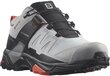 Naisten vaelluskengät SALOMON X ULTRA 4 WIDE GTX W, harmaa/musta hinta ja tiedot | Naisten saappaat | hobbyhall.fi