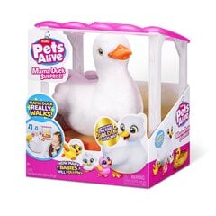 Interaktiivinen setti Zuru Pets Alive Mama Duck Surprise, 12 osaa hinta ja tiedot | Vauvan lelut | hobbyhall.fi