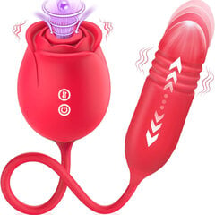 Rose Vibrator Dildo 4in1 hinta ja tiedot | Seksilelusetit | hobbyhall.fi