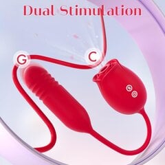 Rose Vibrator Dildo 4in1 hinta ja tiedot | Seksilelusetit | hobbyhall.fi