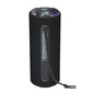 Tronsmart Mirtune C2 24W IPX7 hinta ja tiedot | Kaiuttimet | hobbyhall.fi