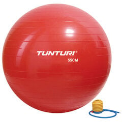 Jumppapallo Tunturi 55 cm, punainen hinta ja tiedot | Voimistelupallot | hobbyhall.fi