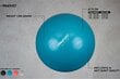 Schreuderssport Avento jumppapallo 75cm, sininen hinta ja tiedot | Voimistelupallot | hobbyhall.fi