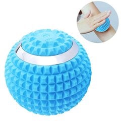 Vibrating Massa Ball Speed ​​High-Intensity Fitness Massa R_Blue hinta ja tiedot | Hierontalaitteet | hobbyhall.fi