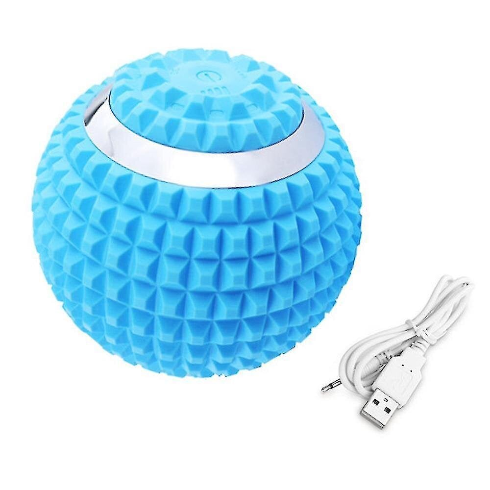 Vibrating Massa Ball Speed ​​High-Intensity Fitness Massa R_Blue hinta ja tiedot | Hierontalaitteet | hobbyhall.fi